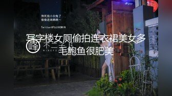 写字楼女厕偷拍连衣裙美女多毛鲍鱼很肥美