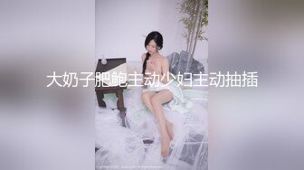 大奶子肥鲍主动少妇主动抽插