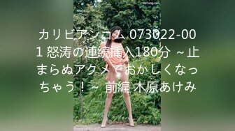 カリビアンコム 073022-001 怒涛の連続挿入180分 ～止まらぬアクメでおかしくなっちゃう！～ 前編 木原あけみ