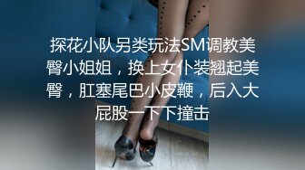 探花小队另类玩法SM调教美臀小姐姐，换上女仆装翘起美臀，肛塞尾巴小皮鞭，后入大屁股一下下撞击