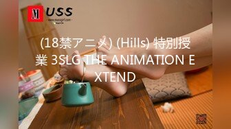 (18禁アニメ) (Hills) 特別授業 3SLG THE ANIMATION EXTEND