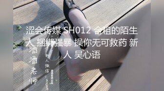 涩会传媒 SH012 合租的陌生人 捆绑强暴 操你无可救药 新人 吴心语