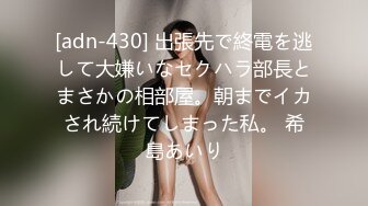 [adn-430] 出張先で終電を逃して大嫌いなセクハラ部長とまさかの相部屋。朝までイカされ続けてしまった私。 希島あいり